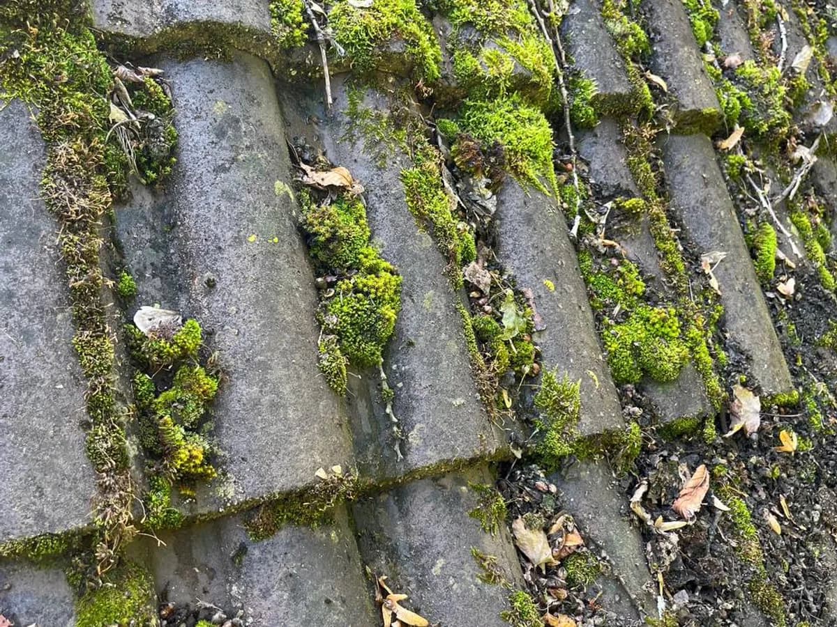 Betondachsteine mit frischer Beschichtung
