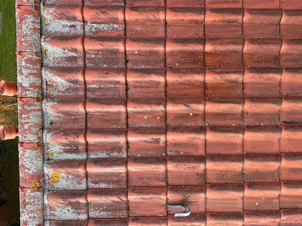 Moos, das tief in den Falzen der Dachziegel sitzt