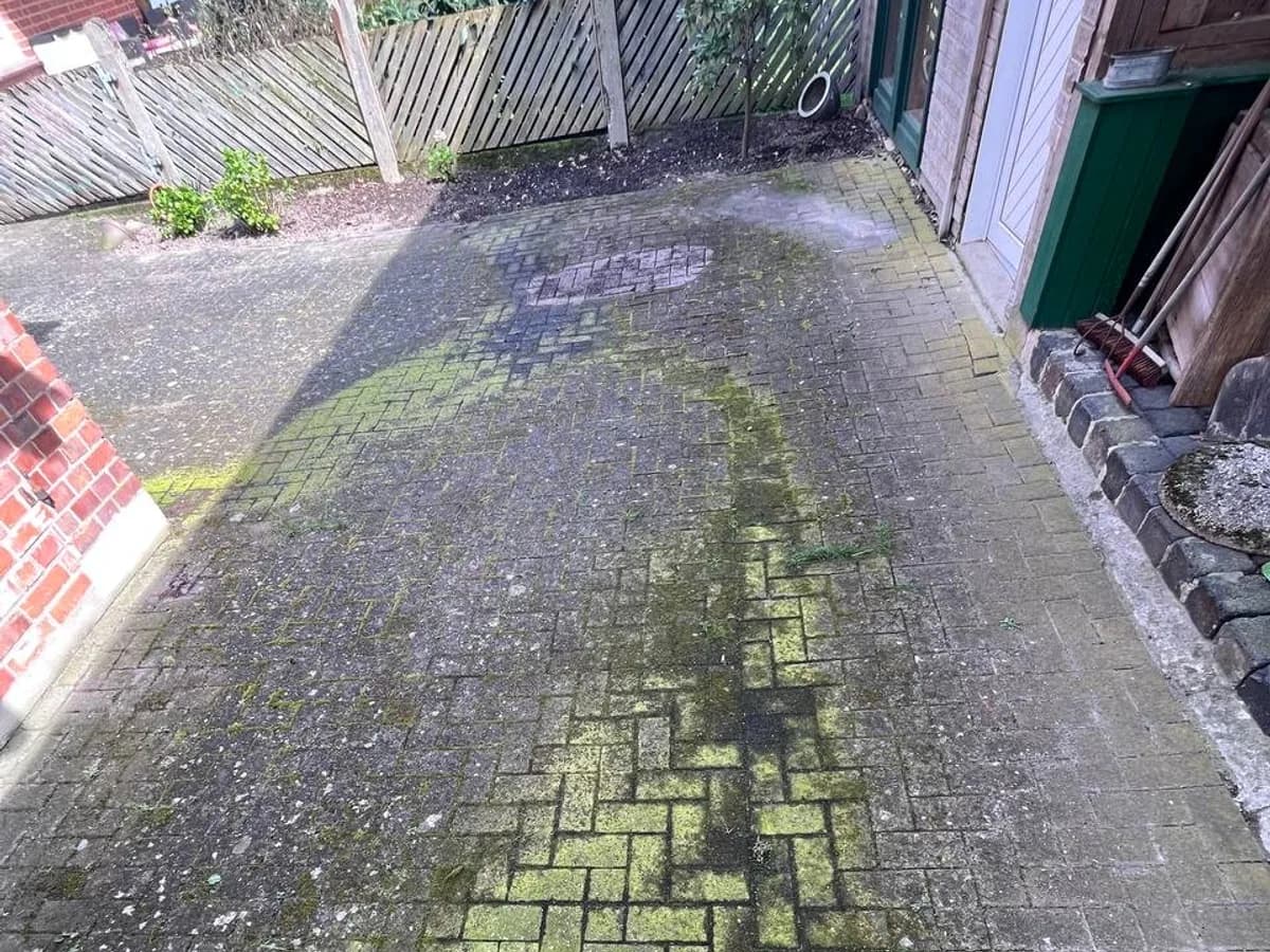 Gepflasterte Hofzufahrt, flächig mit Moos und Grünbelag zugewachsen