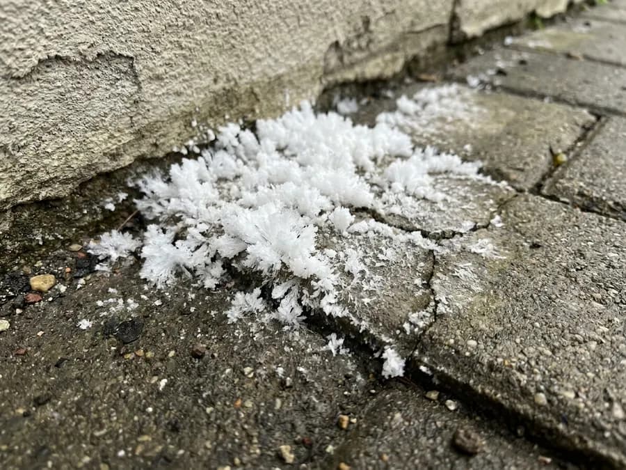 Steinfläche mit hellen, kristallinen Ausblühungen auf der Oberfläche