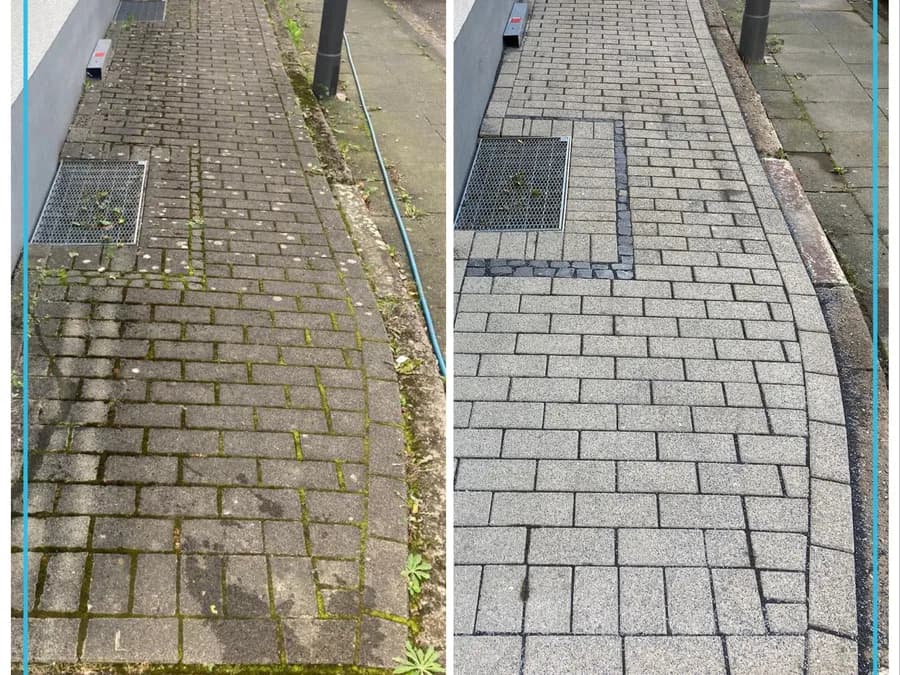 Gepflasterter Weg im direkten Vergleich, links bewachsen, rechts gereinigt