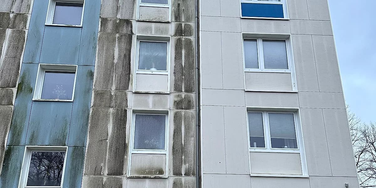 Mehrfamilienhaus mit veralgter und bereits gereinigter Fassadenhälfte