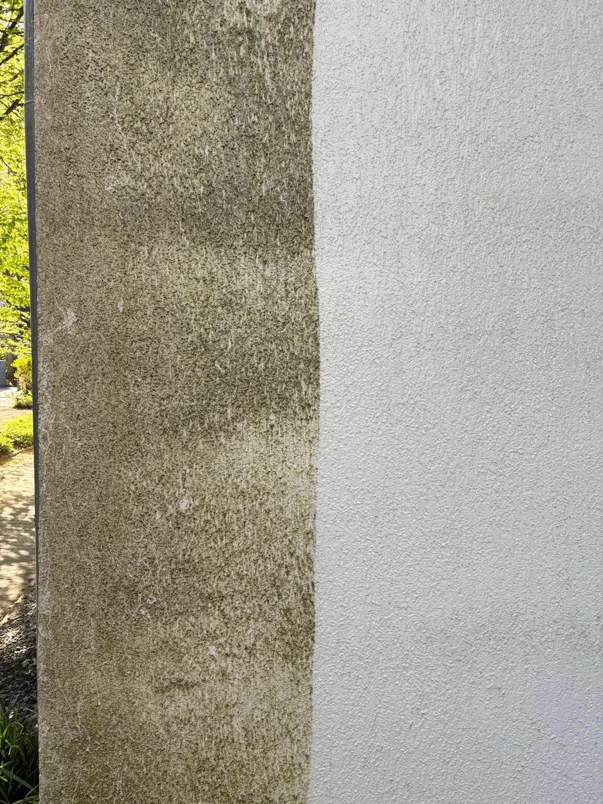 Putzfassade beim Übergang von moosbedeckt zu sauber durch schonende Sprühreinigung