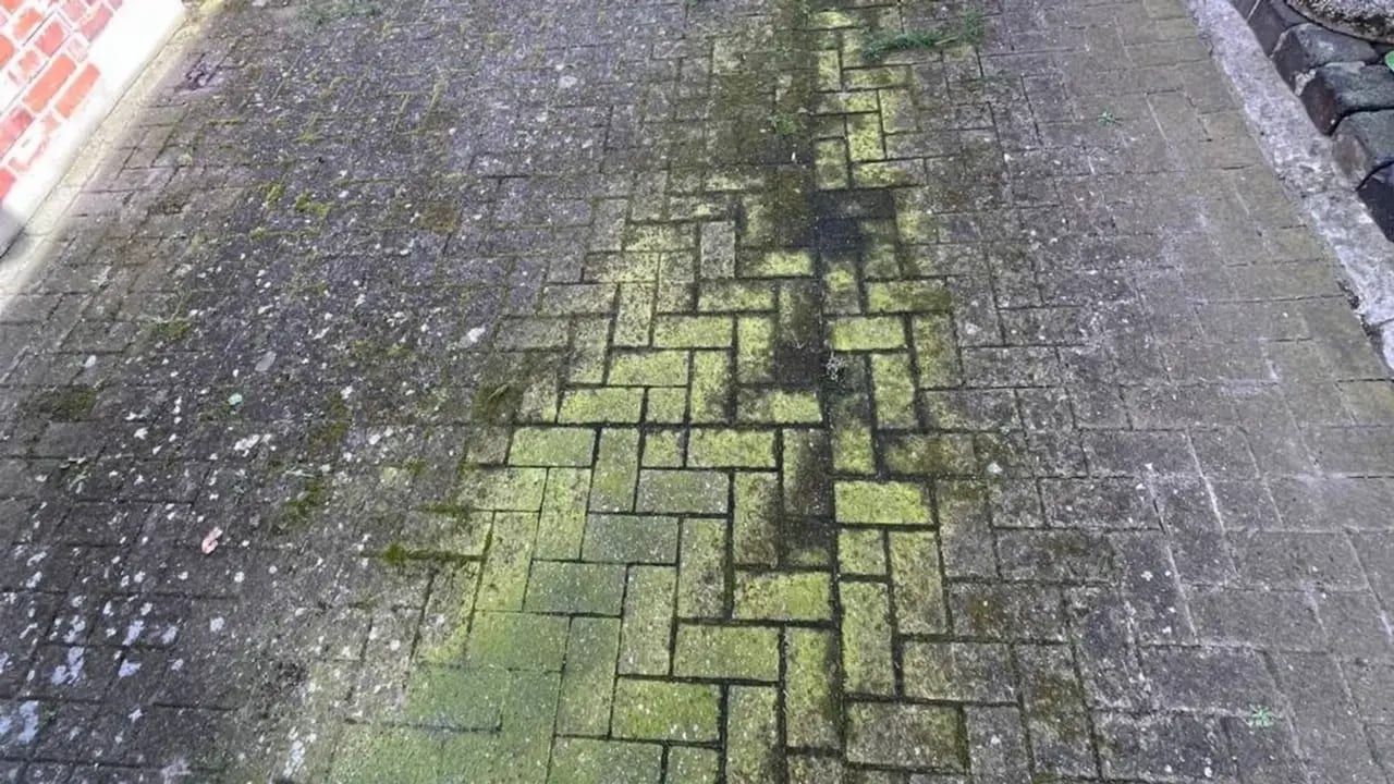 Hofzufahrt aus Betonpflaster mit flächigem Moos in den Fugen vor der Steinreinigung