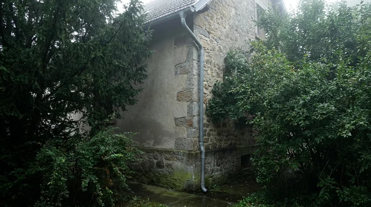 Beschattete Nordwand hinter Gartenbäumen mit erstem grünem Schimmer am Sockel