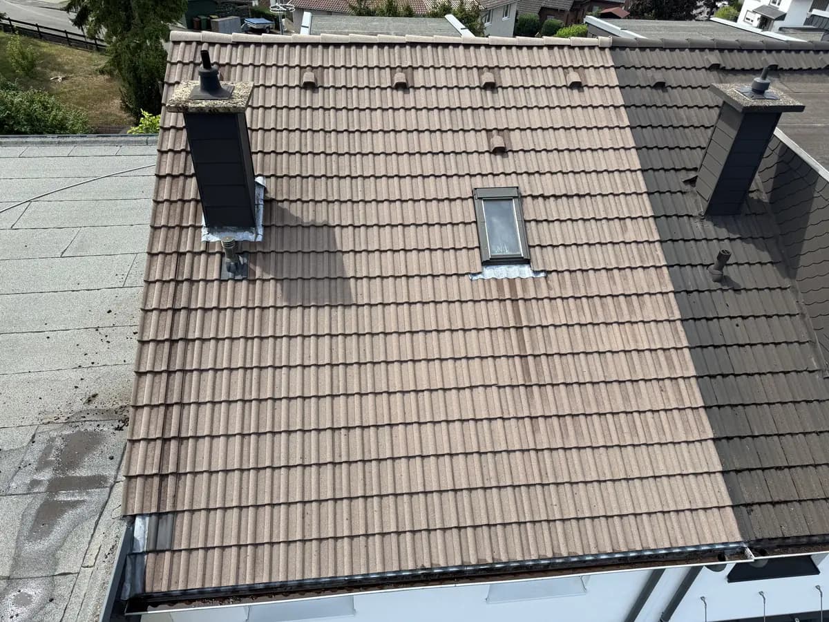 Dieselbe Dachfläche nach der Dachreinigung durch TRODATEC, Flechten und Belag entfernt