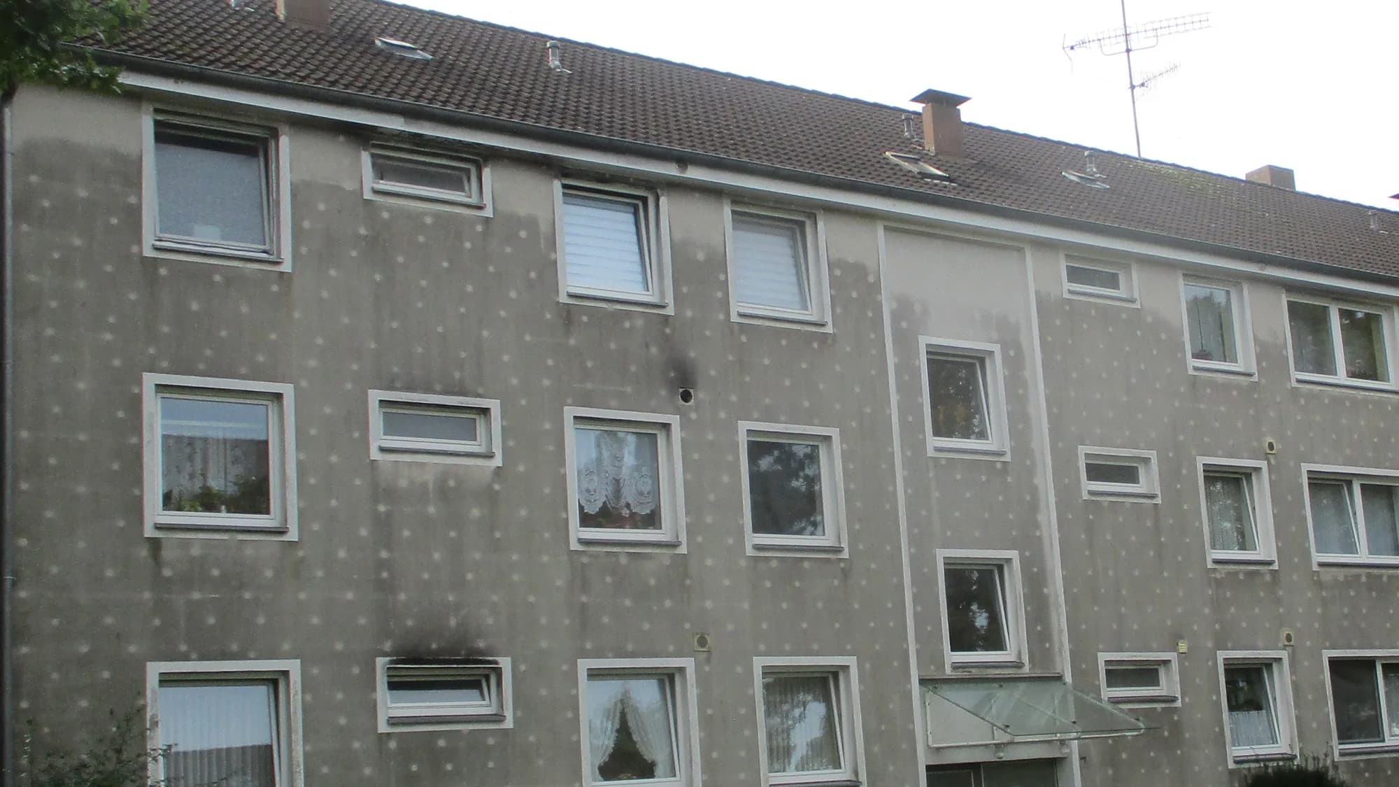 Putzfassade eines Mehrfamilienhauses mit flächigem grauem Algen- und Schmutzbelag vor der Fassadenreinigung