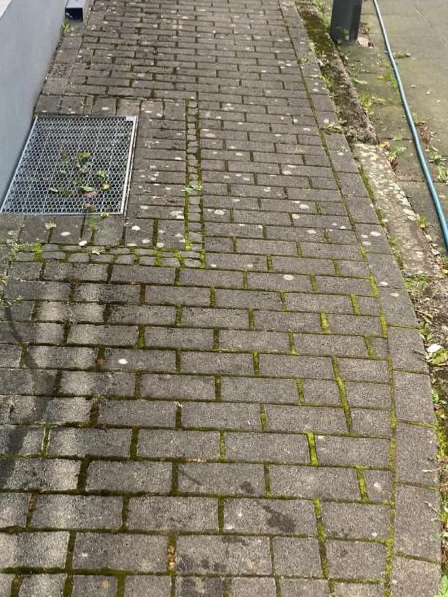 Gepflasterter Gehweg mit Moos in den Fugen und flächig vergrauter Oberfläche vor der Steinreinigung