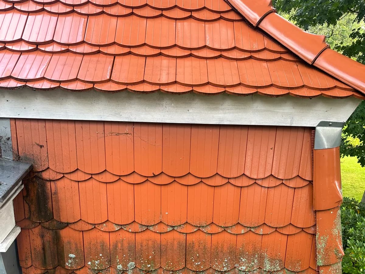 Halb gereinigtes Ziegeldach: vermooster und sauberer Bereich im Vergleich