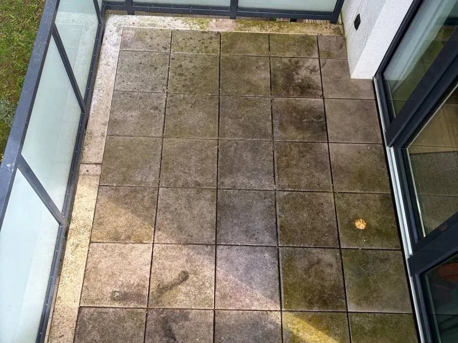 Terrassenplatten mit flächigem grünem Belag zwischen zwei Gebäudeteilen
